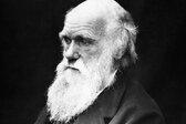 Σαν σήμερα 24 Νοεμβρίου ο Κάρολος Δαρβίνος δημοσιεύει το μνημειώδες έργο του «Η καταγωγή των ειδών»